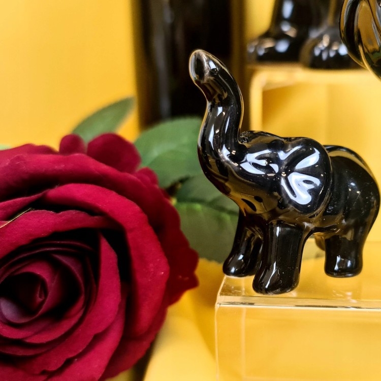 64a8a508b94abc0120a7d15cf32f70ca