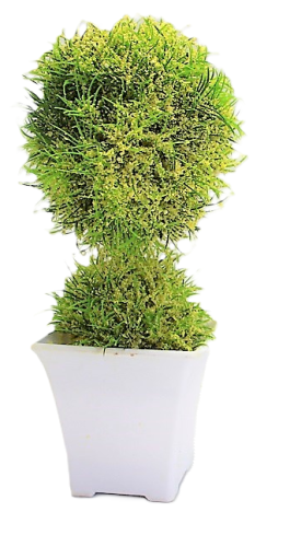 KWIAT SZTUCZNY W BIAŁEJ OSŁONCE 23,5CM