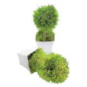 KWIAT SZTUCZNY W BIAŁEJ OSŁONCE 23,5CM