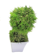 KWIAT SZTUCZNY W BIAŁEJ OSŁONCE 23,5CM