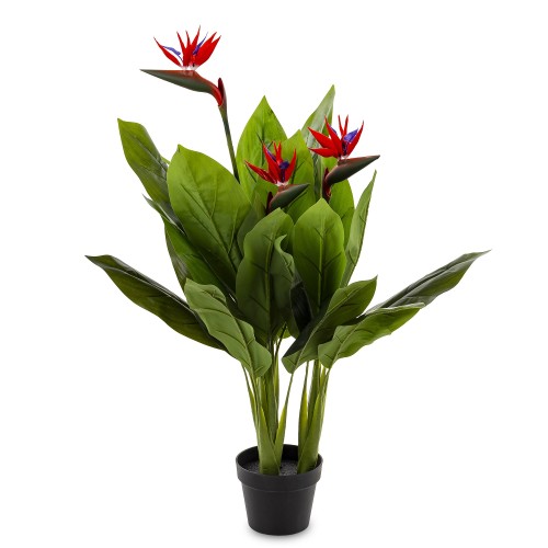 ROSLINA DEKORACYJNA STRELICJA KRÓLEWSKA RAJSKI PTAK 100x65cm