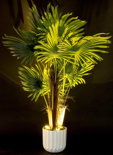 PODŚWIETLONA SZTUCZNA ROŚLINA DAKTYL PALMA PODŚWIETLANA LED 104x65cm