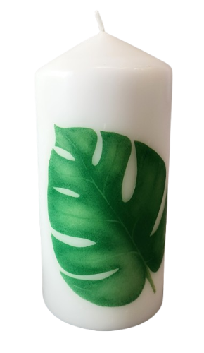 ŚWIECA BIAŁA W LIŚCIE MONSTERY 15CM