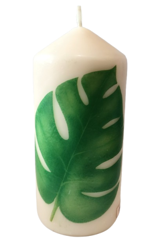 ŚWIECA W LIŚCIE MONSTERY 13CM