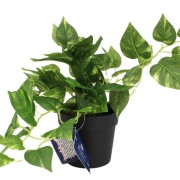 KWIAT SZTUCZNY EPIPREMNUM DONICZCE 21CM
