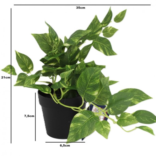 KWIAT SZTUCZNY EPIPREMNUM DONICZCE 21CM