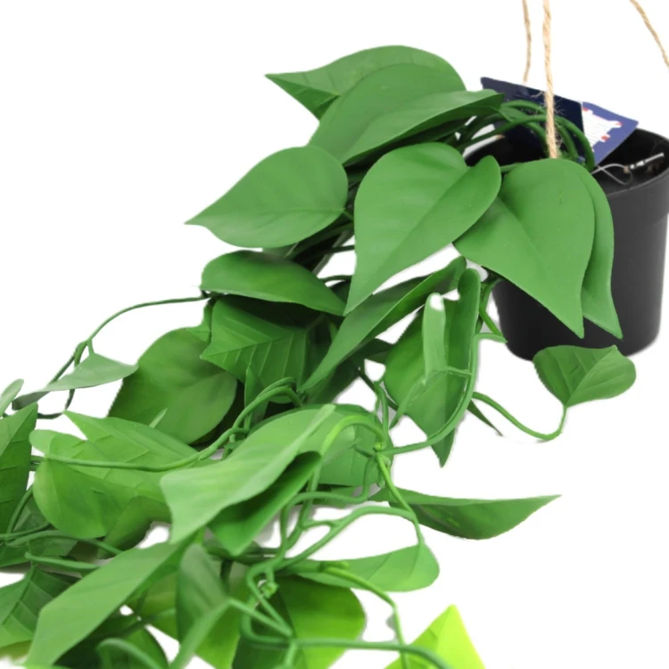 KWIAT SZTUCZNY EPIPREMNUM WISZĄCE DONICZCE 70CM