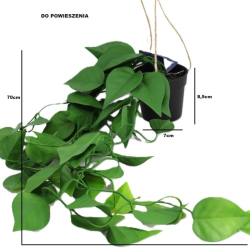 KWIAT SZTUCZNY EPIPREMNUM WISZĄCE DONICZCE 70CM