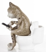 a384618c6fd2c985c892dd44c1088bc7