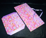 45582368f1d54ddecb41ace198d0ee7f.