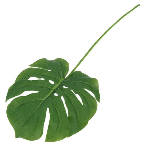 LISC-MONSTERY-GUMOWY