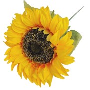 70CM-SLONECZNIK-POJEDYNCZY-GALAZKA