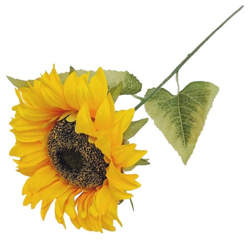 70CM-SLONECZNIK-POJEDYNCZY-GALAZKA