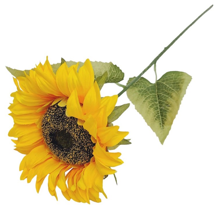 70CM-SLONECZNIK-POJEDYNCZY-GALAZKA