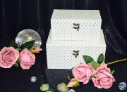 SZKATULKA-BIALA-ZAMYKANA-W-SREBRNE-SERDUSZKA