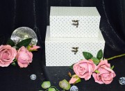 SZKATULKA-BIALA-ZAMYKANA-W-SREBRNE-SERDUSZKA