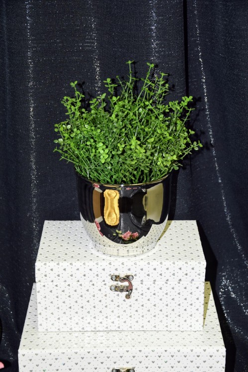 SZKATULKA-BIALA-ZAMYKANA-W-SREBRNE-SERDUSZKA