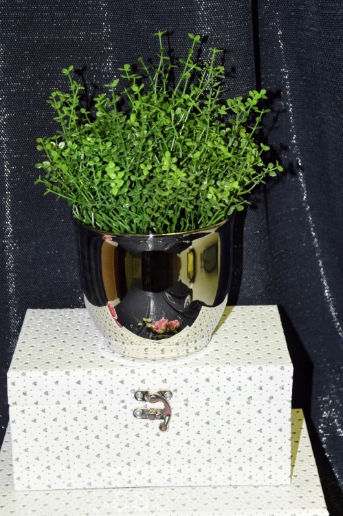 SZKATULKA-BIALA-ZAMYKANA-W-SREBRNE-SERDUSZKA