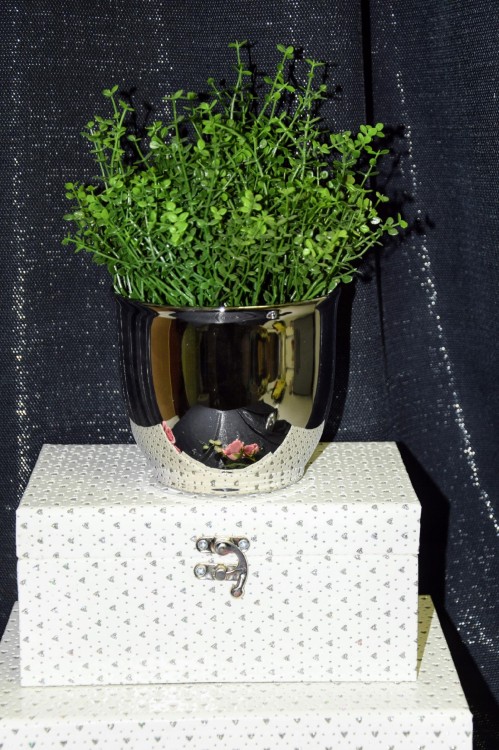 SZKATULKA-BIALA-ZAMYKANA-W-SREBRNE-SERDUSZKA