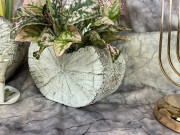 OSŁONKA CEMENTOWA PIEŃ