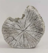 OSŁONKA CEMENTOWA PIEŃ