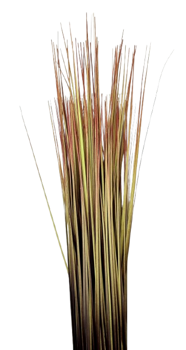 TRAWA W WIĄZCE 83cm