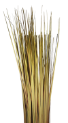 TRAWA W WIĄZCE 83cm