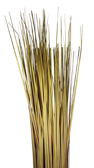 TRAWA W WIĄZCE 83cm