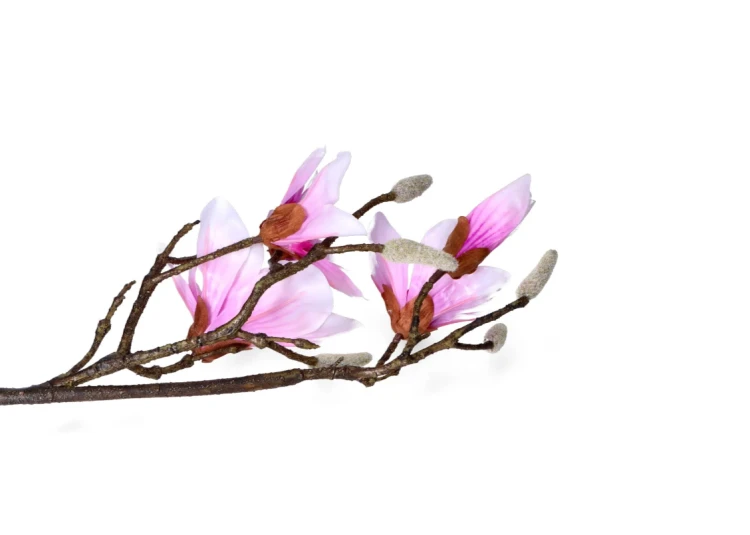 sztuczny kwiat magnolia gałązka