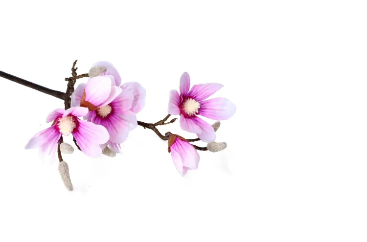 sztuczny kwiat magnolia gałązka