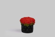 świeca flowerbox kwiaty róże