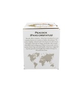 Kubek Porcelanowy 400 ml PAW – Ptasi Świat / Animals