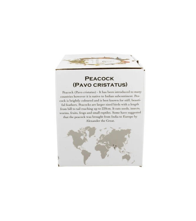 Kubek Porcelanowy 400 ml PAW – Ptasi Świat / Animals