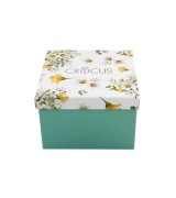 Filiżanka ze Spodkiem Porcelanowa 250 ml – DAISY POLNE KWIATY