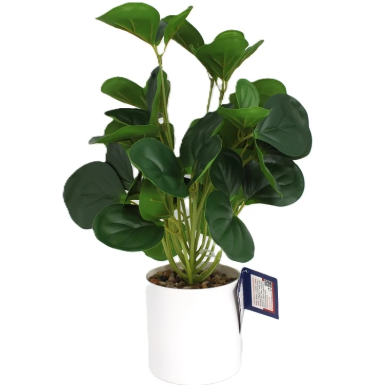 Sztuczna Roślina Peperomia w Doniczce 35cm Jak Żywa Premium