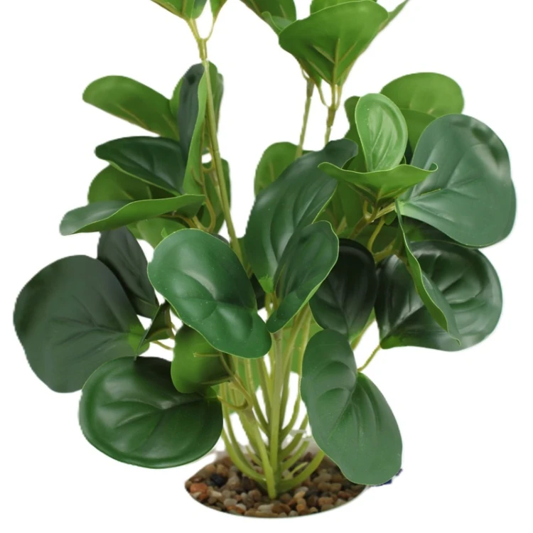 Sztuczna Roślina Peperomia w Doniczce 35cm Jak Żywa Premium