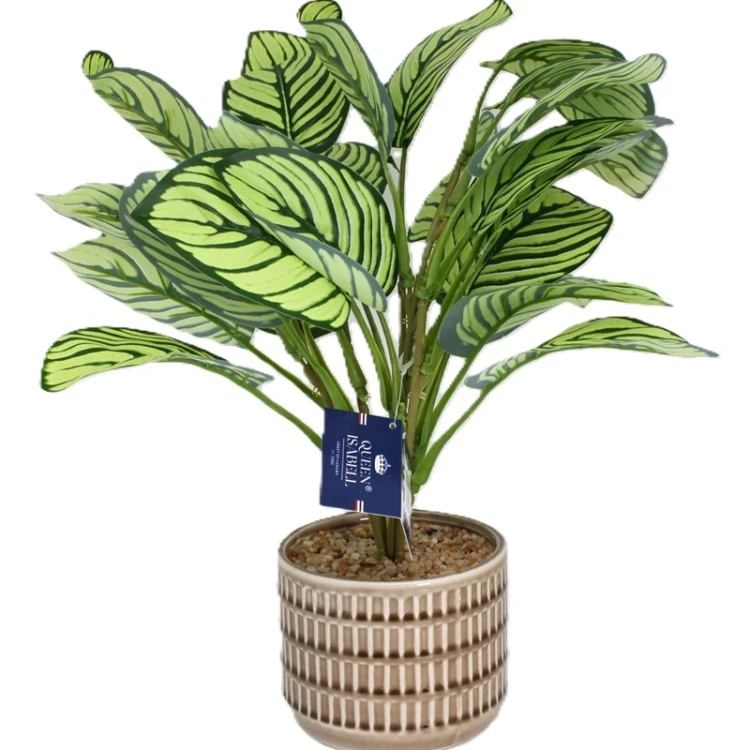 Sztuczna Roślina w Doniczce Kalatea Calathea 40cm Jak Żywa Premium