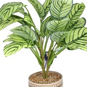Sztuczna Roślina w Doniczce Kalatea Calathea 40cm Jak Żywa Premium