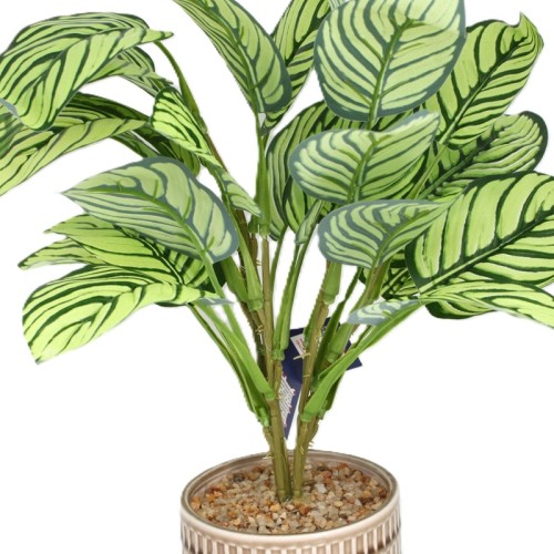 Sztuczna Roślina w Doniczce Kalatea Calathea 40cm Jak Żywa Premium