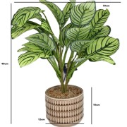Sztuczna Roślina w Doniczce Kalatea Calathea 40cm Jak Żywa Premium