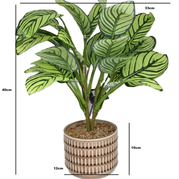 Sztuczna Roślina w Doniczce Kalatea Calathea 40cm Jak Żywa Premium