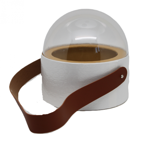 Elegancki Flower Box z Przezroczystą Kopułą i Paskiem 13,5 cm – Biały